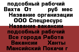 подсобный рабочий . Вахта. От 30 000 руб./мес. › Название организации ­ ООО Спецресурс › Название вакансии ­ подсобный рабочий - Все города Работа » Вакансии   . Ханты-Мансийский,Покачи г.
